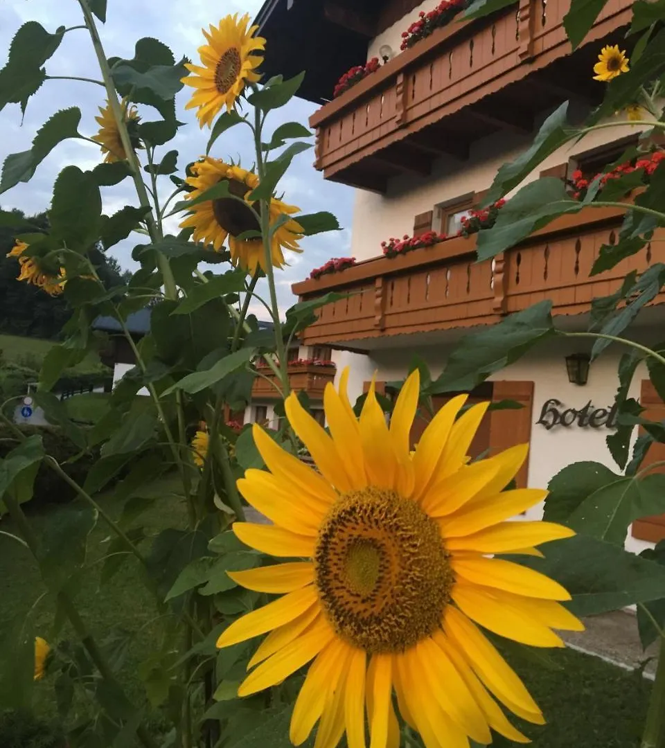 Alpenhotel Weiherbach Berchtesgaden Hallenbad Und Sauna